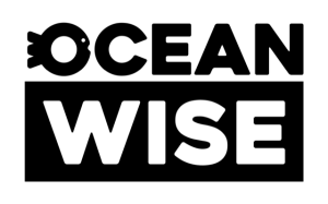 OW-Logo-Primary-RGB OW-Logo-Primary-RGB